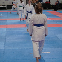 Karatecy przygotowują się do walki